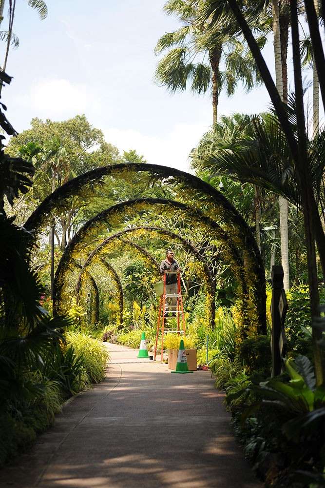 National Orchid Garden at the Singapore, Botanic Garden, Singapore