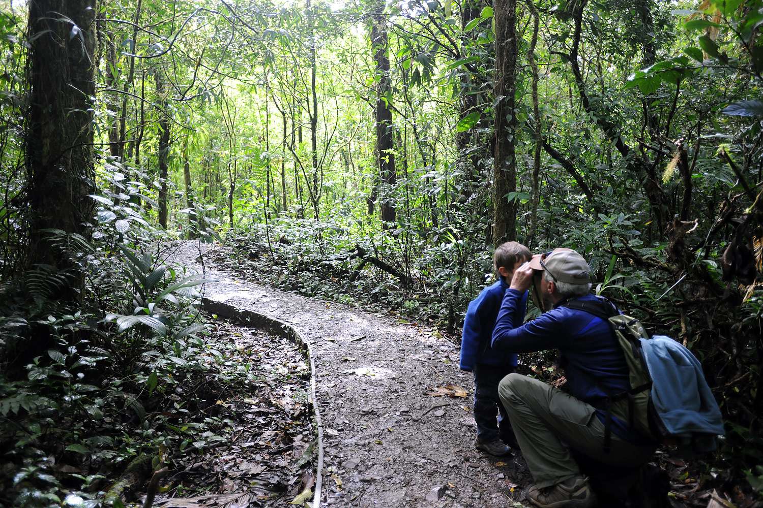 I spy?...Monteverde Cloud Forest, Costa Rica