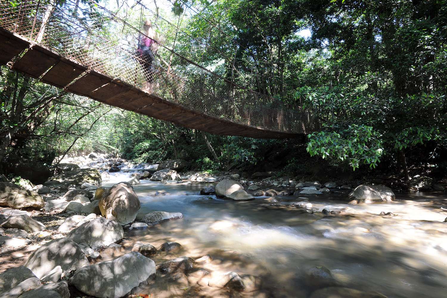 Hanging bridge in Bubbling mud, Rincón de la Vieja, Costa Rica.