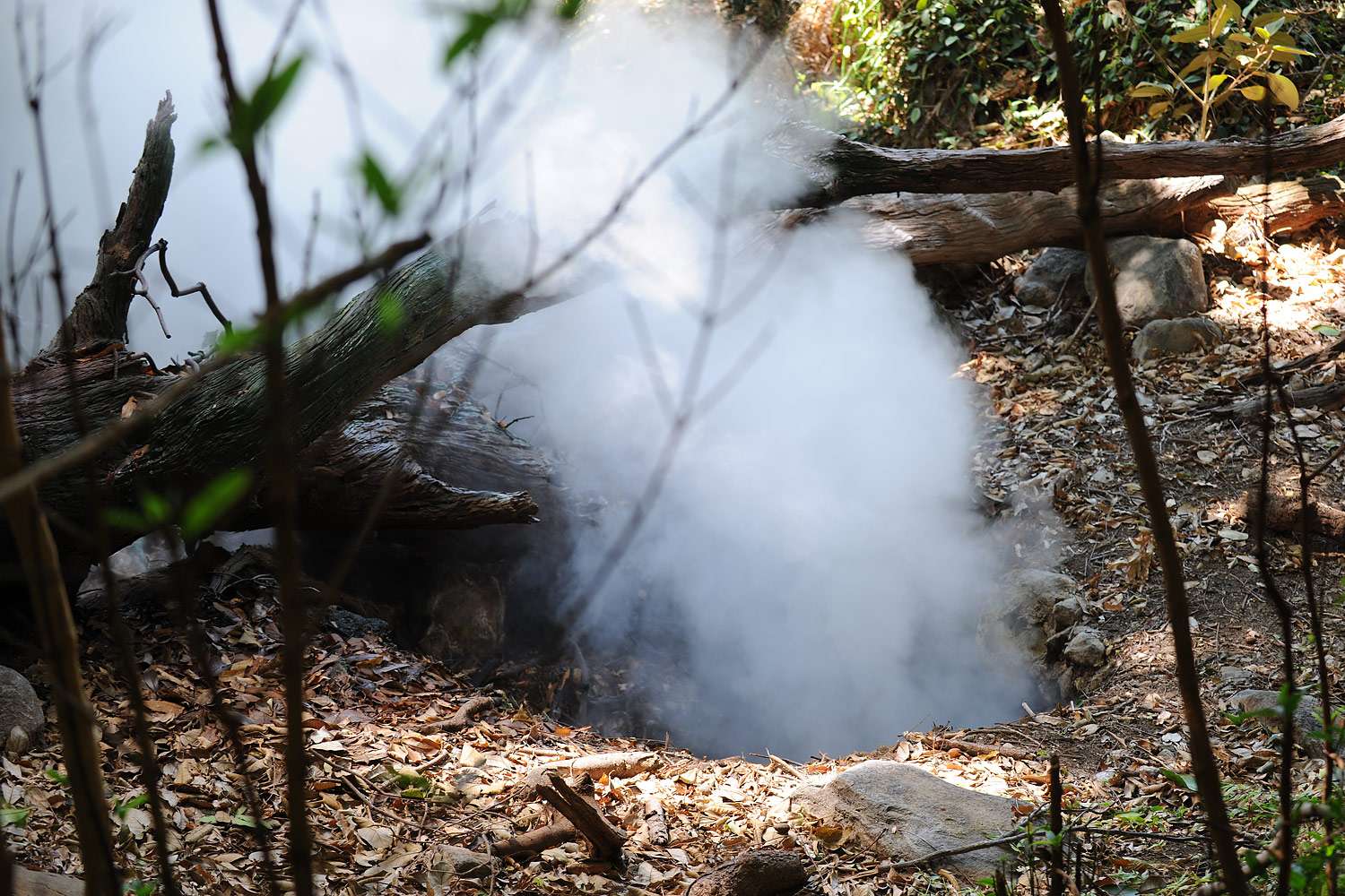 Smoke pours out of a hole in the ground, Rincón de la Vieja, Costa Rica