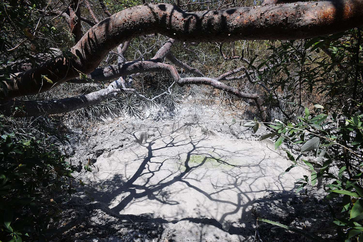 Bubbling mud, Rincón de la Vieja, Costa Rica.