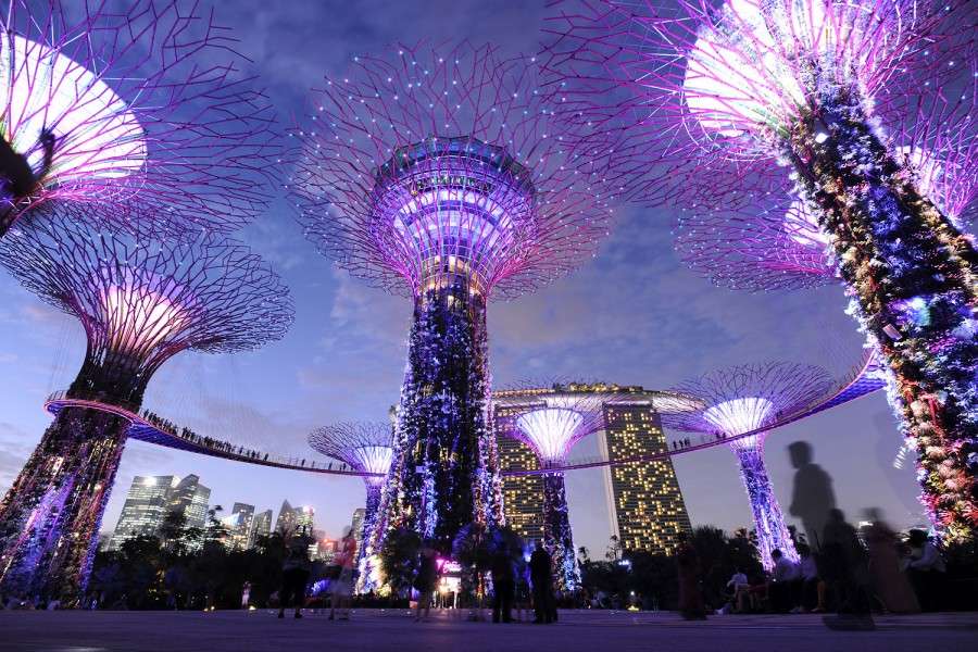 Super Trees at night, Singapore